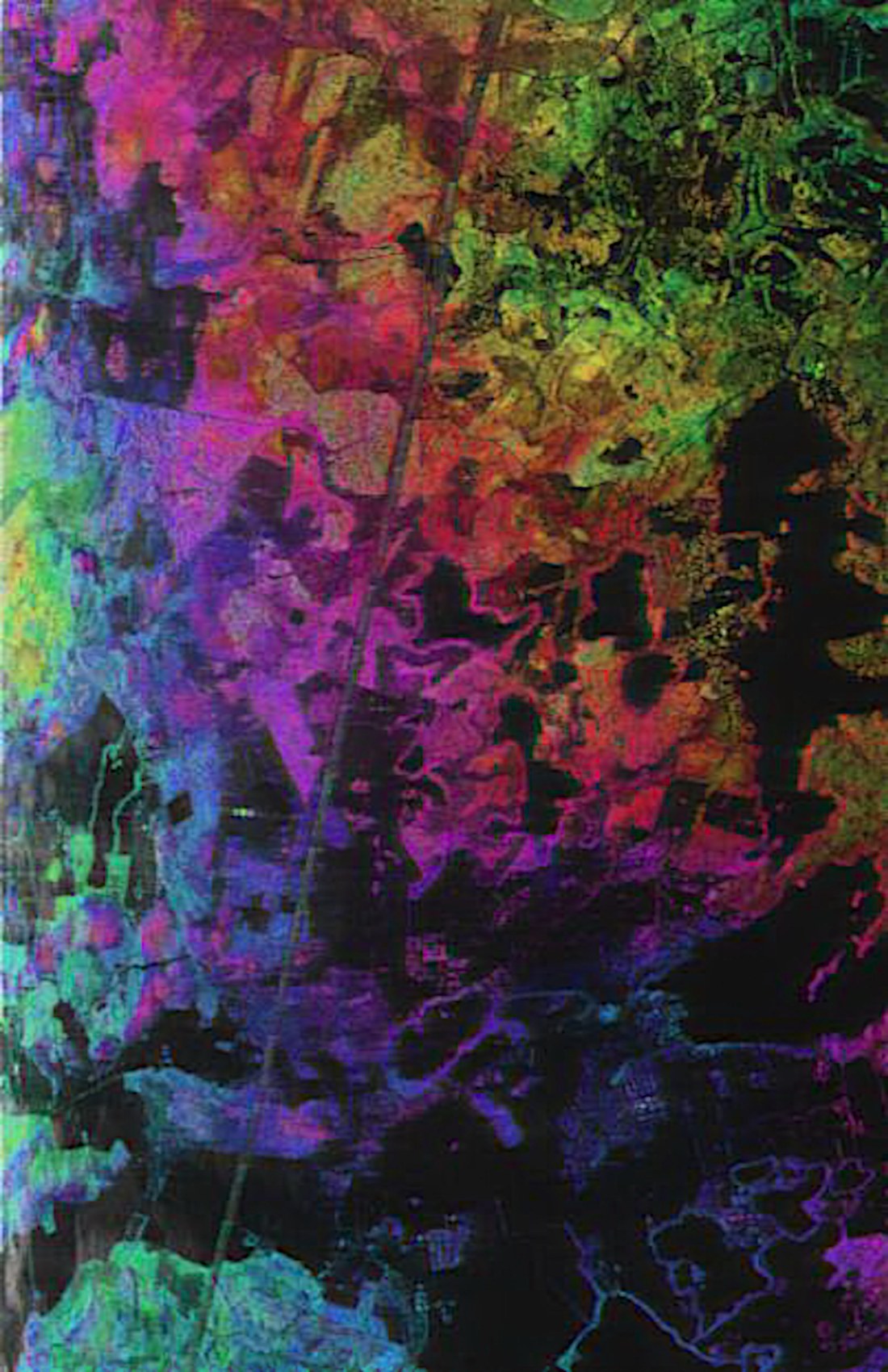 Image radar aéroportée issue de la campagne BIOSAR 2010.